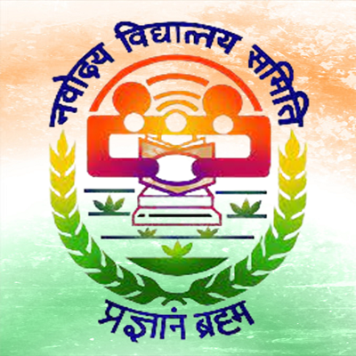 NVS JSA Logo